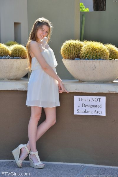 Glamour babe in a sexy sheer dress Eva giving a pantyless upskirt in public Image #3